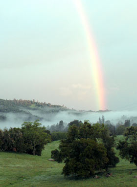 Rainbow over Paso Robles