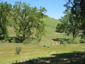 A Seasonal Creek Runs Through The Property