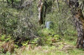 Spring-fed water tank