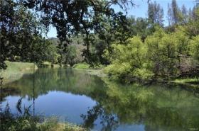 Rope swing looking upstream above dam