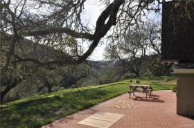 Back patio