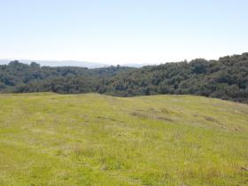 View Of Ridge Looking South