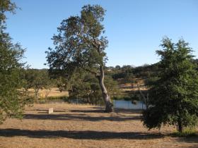 View To Beaver Pond