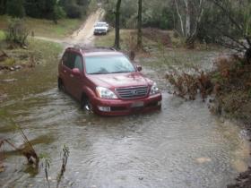 But we got him out before the creek really came up!