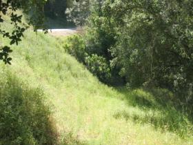 Driveway Into The Property. Running Deer Road Is Above To The Left.