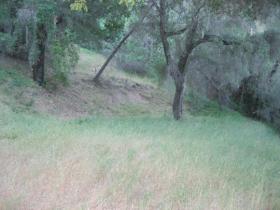 Looking In At The Campsite Area (On A Cloudy Day!)