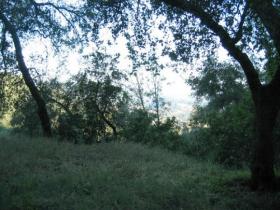 Oak Tree Framed Views Of Beautiful Rural California