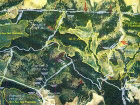 Bear Valley Aerial Map
