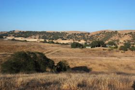 Ranchita Canyon In August