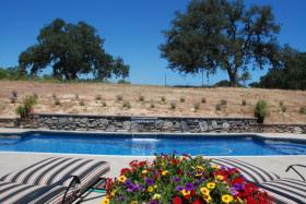 Pool with Waterfall & Automatic Cover