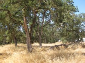 Looking Across Property