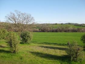 Salinas River Frontage