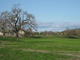 View From South Toward Building Site