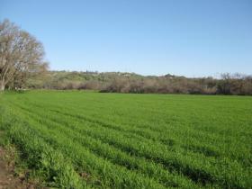 Great Farmland!