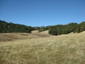 South Facing Slope in Bear Valley