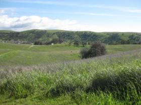 Ranchita Canyon In February