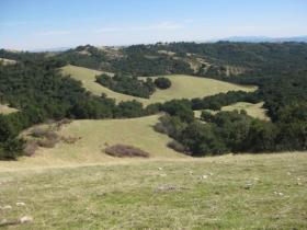 View into Bear Valley from 2000 ft Elevation