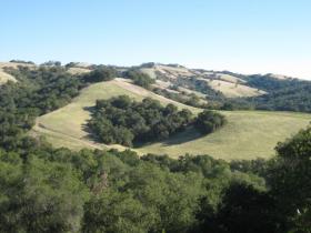 View of East Side of Bear Valley